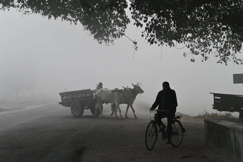 तराईमा हुस्सु र पहाडमा बादल लाग्ने सम्भावना